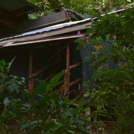 מלון Barrigones Corcovado Guide House מראה חיצוני תמונה
