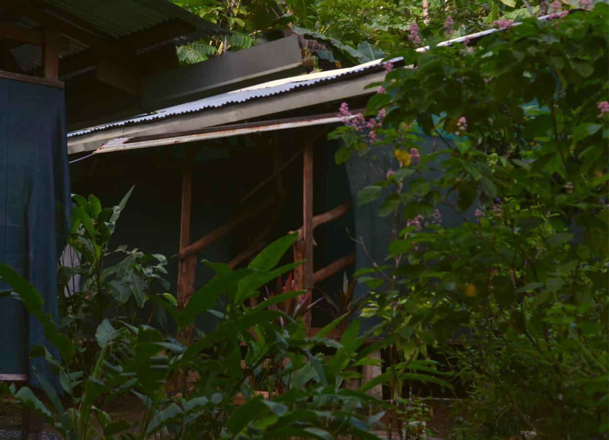 מלון Barrigones Corcovado Guide House מראה חיצוני תמונה
