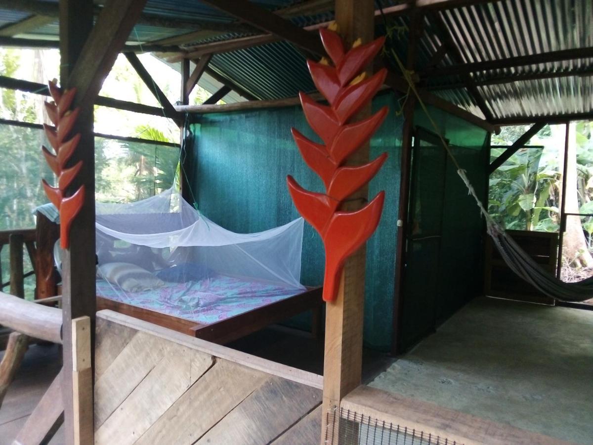 מלון Barrigones Corcovado Guide House מראה חיצוני תמונה
