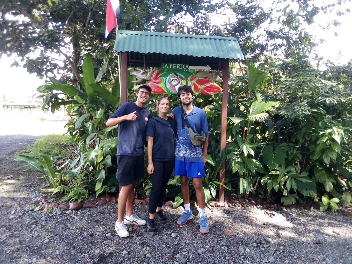מלון Barrigones Corcovado Guide House מראה חיצוני תמונה