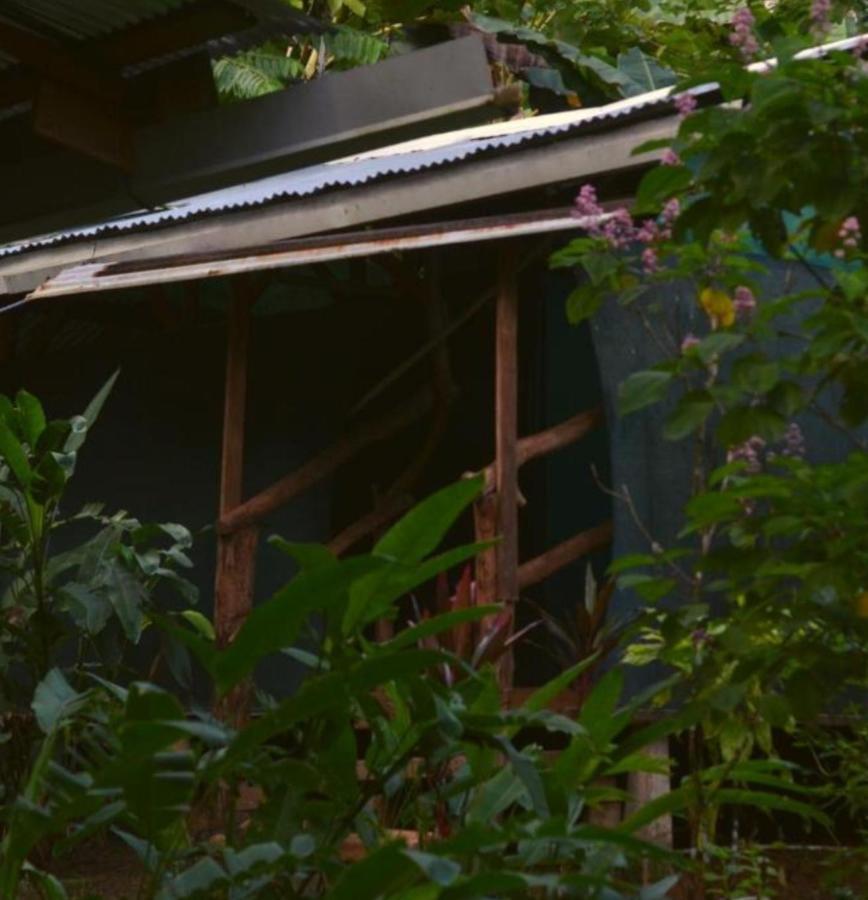 מלון Barrigones Corcovado Guide House מראה חיצוני תמונה